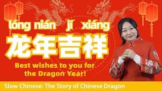 Chinese Dragons VS Western Dragons Why do Chinese people like dragons 龙?