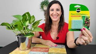 Miracle Gro Plant Food How To Use - Fertilizer Spikes for Indoor Plants