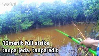 Mancing di sarang ikan Lais