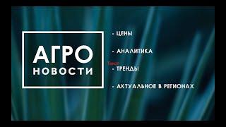 Взлет цен на подсолнечник. Экспорт зерна и масла из РФ. #агроновости  21012023 @agromanagers