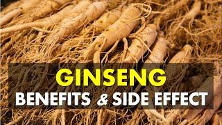 Ginseng Benefits and Side Effects May Fight Tiredness and Increase Energy Levels