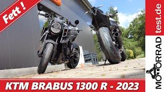 KTM Brabus 1300 R - Edition 2023  Kurzvorstellung
