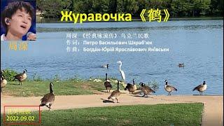 周深 在《经典咏流传》歌唱的乌克兰民歌《鹤》Журавочка， 确实是一首很美的歌，“一只鹤孤独的困在湖中，没有伴侣鹤伙伴， 让人们感到为它痛苦。飞吧，鹤，为了自己，也为了下一次相遇。”非常感人。