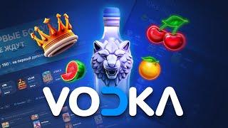 Казино Vodka  - обзор и отзывы игроков