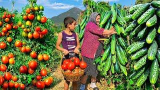 Harvesting Organic Vegetables and Cooking Traditional Azerbaijani Dish of Dolma