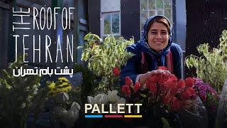 سال تا سال  The Roof of Tehran Official Music Video  پالت  Pallett Band