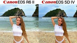 Canon EOS R6 II vs Canon EOS 5D IV Camera Test