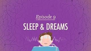 To Sleep Perchance to Dream Crash Course Psychology #9