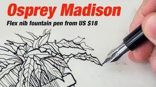 Osprey Madison flex nib fountain pen review