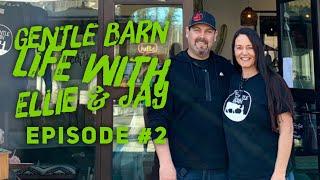 Gentle Barn Life with Ellie & Jay Episode #2