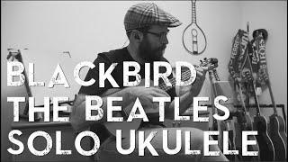 José Rebola - Blackbird The Beatles - Solo Ukulele