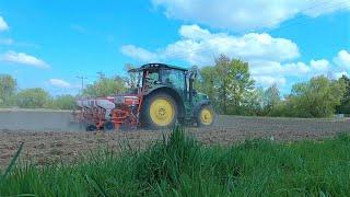 John Deere 6125R  Mais legen  Gaspardo Maisdrille  GäubodenAgrar