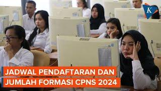 Kapan CPNS 2024 Dibuka? Berapa Formasi yang Tersedia?