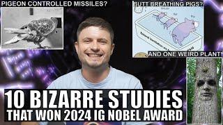 Bizarre and Hilarious Studies That Won Ig Nobel Prize In 2024 One Is Mindblowing