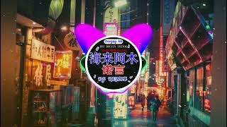 全中文DJ舞曲夜店混音舞曲串烧 2024酒吧最火DJ舞曲  范茹 - 求佛  卜卦 - 崔子格  我的好兄弟 - 高进& 小沈阳 ...Chinese Song Remix 2024