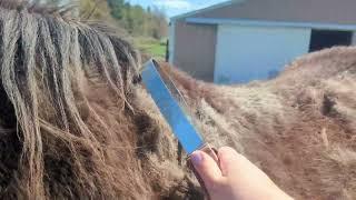 Spring is Horse Shedding Season - Grooming my Horse