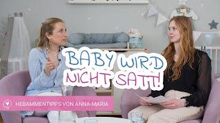 Baby wird nicht satt  typischen Anzeichen und Tipps von Hebamme Anna-Maria