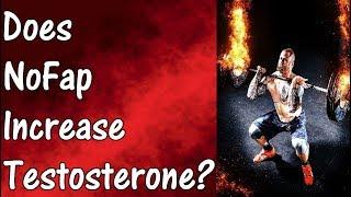 Does NoFap ACTUALLY Increase Testosterone Levels?  THE TRUTH About No Fap And Hormones