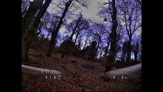 FPV in Forest