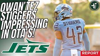 QwanTez Stiggers IMPRESSING At OTAs For The New York Jets  2024 NFL  Off-Season