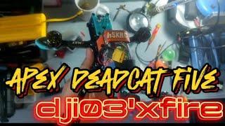 ApeX DeadCaT FivE dji03XfirE