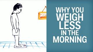 Why You Weigh Less In The Morning Than At Night