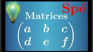 Matrice  introduction - définition - spé maths - Terminale S et ES