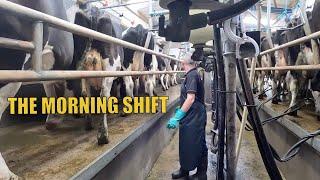 MY BUSY MORNING ROUTINE  DAIRY FARMING IRELAND