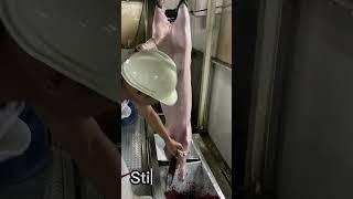 Dumaguete city slaughter house HOG OPERATION #slaugtherer #butcher