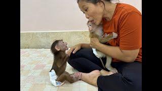 Sister Kobie Crying Very Gesture Angry & Jealous Mom For Loving Sister Jula Than Her 