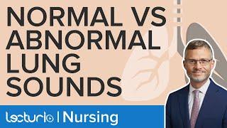 Normal and Abnormal Breath Sounds Explained  Physical Assessment  Lecturio Nursing