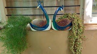 Peacock planters....latest idea.... #peacock #plant #planter ©