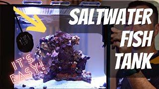 How to Set up a Saltwater Fish Tank