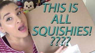 OMG HUGE BOX OF SQUISHIES   JENNA LYN SQUISHY PACKAGE