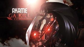 Akame Tribute「ＡＭＶ」One for the kill
