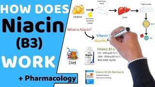 How does Niacin B3 Work? + Pharmacology