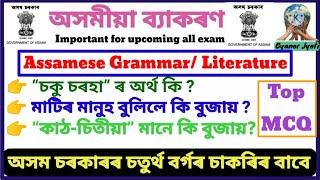 Assam Grade- 4 Exam Questions  Important for DHSDMEDHSFWAYUSH Grade- 4 Exam MCQ  Top 20 MCQ