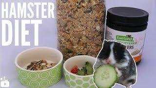 MY HAMSTERS DIET  what I feed my hamsters