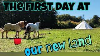 The 1st day at our new land