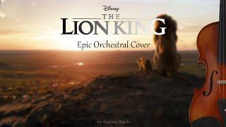 Circle Of Life  Epic Orchestral Version