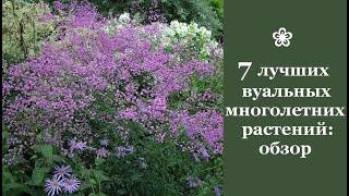  7 лучших вуальных многолетних растений обзор