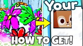 How To Get “HUGE SQUIRREL” In Pet Simulator X..