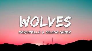 Selena Gomez Marshmello - Wolves Lyrics