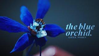 The blue orchid.