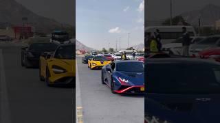 Exotic Cars Of Dubai 