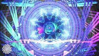 Vini Vici - Ravers Army Ticon & Animato Remix Psychedelic Visuals