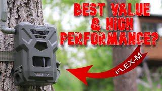 Spypoint FLEX-M Cellular Trail Camera Best Value $79.99 Dual-Sim 28MP GPS Field Test Review