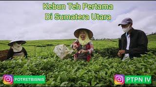 POTRET BISNIS   Woiii...ini dia teh. Minuman kesehatan dan untuk orang kaya.