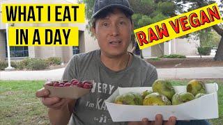 What I Eat in a Day » 27 Year Raw Vegan  When I Travel