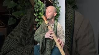 Discover Your Peace - Healing Frequency Flute Meditation - Rest & Relax